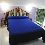 Hotel Viar *