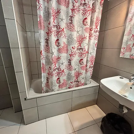Hotel Viar *